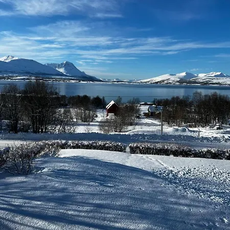 Apartment Liten Kjellerleilighet. Landlig Rolig Omrade.