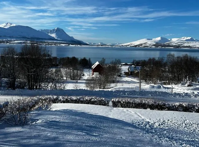 Apartment Liten Kjellerleilighet. Landlig Rolig Omrade.